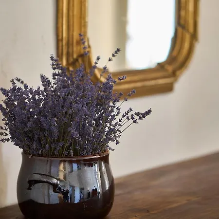 Palazzo Incontri Σιένα